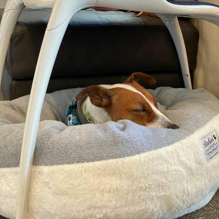 248b7d3c ace9 4c72 bb60 57b97312dc90 1606123098902