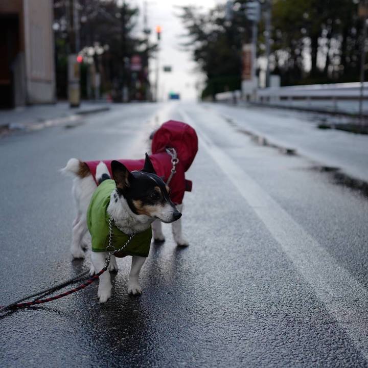 248ba6c8 58bb 4da9 bf15 73382b0d9223 1512882156973