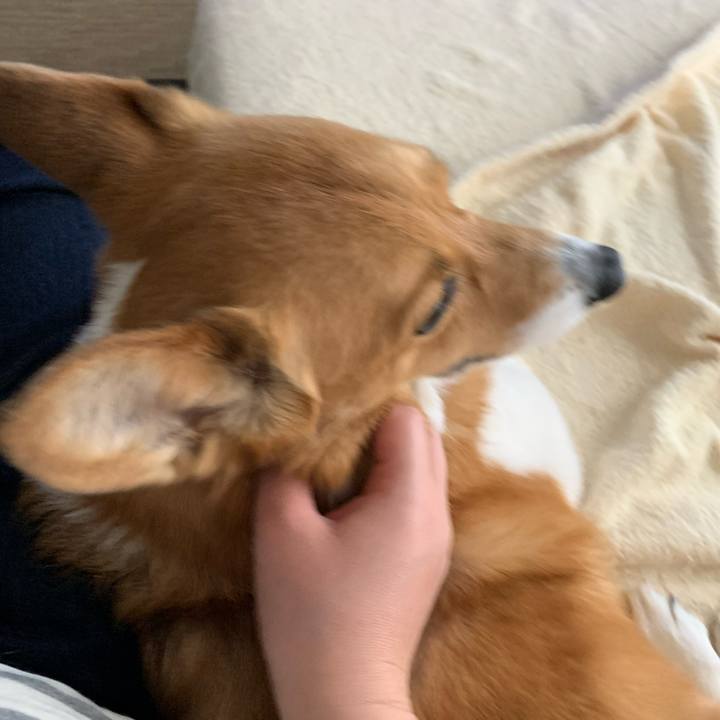 248be6c6 8d63 4c78 87a3 9c3bc59b0bee 1587361828337