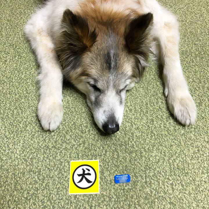 248c04d7 5c1e 4438 8bea bf017f9429a7 1522064867069