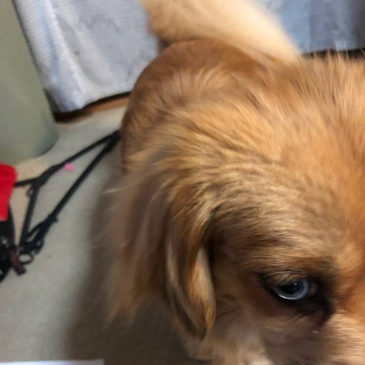 248c2e70 0d61 4ee8 866e dd8e38493fb2 1523836422313