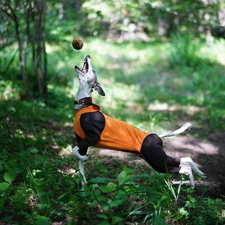 248c3df4 a192 4bb4 871e 8fe9744fb797 1534688257187