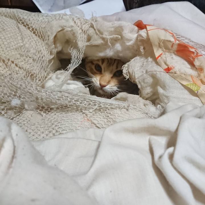 248c5678 36c1 454d 82da 6f0ada39bc1b 1646773131041