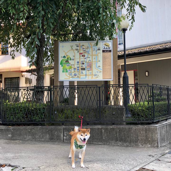 248c752f d3cd 49a1 8d51 1a3639618fb5 1536139456944