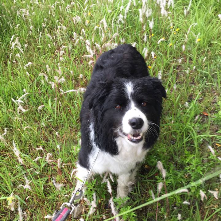 248cc0a5 8a5d 43f4 b683 b9ffcd77ba39 1558140692201