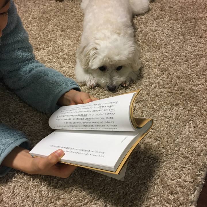 248cc40a a2b7 4464 8cef 8e9d5b161c79 1585396967491