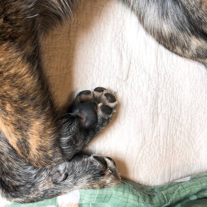 248d0560 d5fc 464e 9862 6032ac42a760 1588737282810