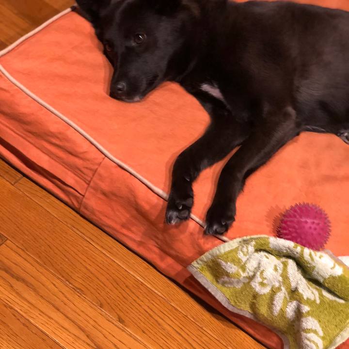 248d23ac 7f09 4bab abf4 0ed15cee35f9 1541165795220