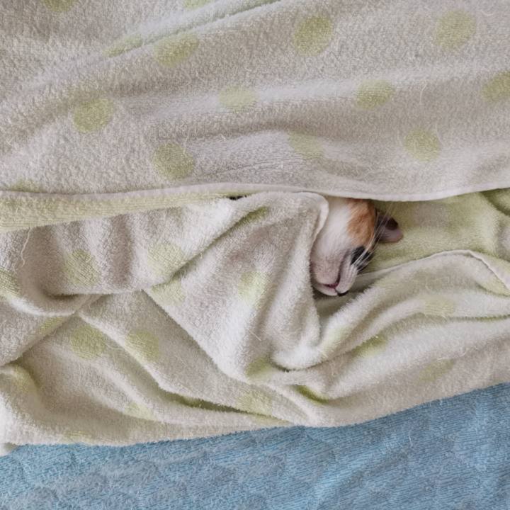 248d2490 dfb8 46dc 8a21 88a03865d05b 1626519819394