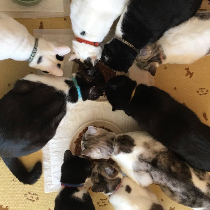 248db799 03e6 4b73 8aeb 2e39cb32ca08 1521772124027