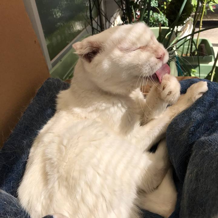 248dc67e 4632 4290 be96 5278439d42b7 1540182943791