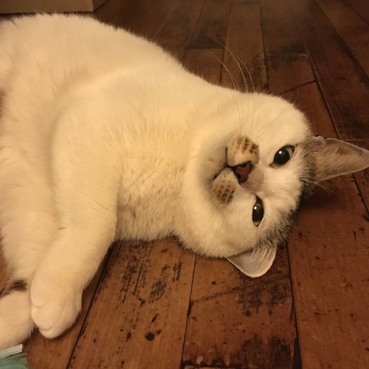 248de38d 13df 42e4 95f2 f4558a67e7ce 1553530210391