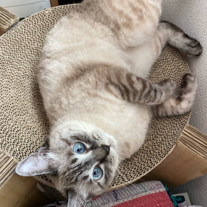 248df638 02e8 4354 b4e1 0e2899c203be 1760579953627