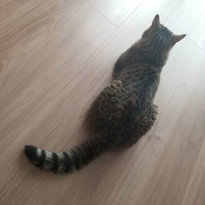 248e2078 1776 4f48 960b defb91e0d661 1592170847276