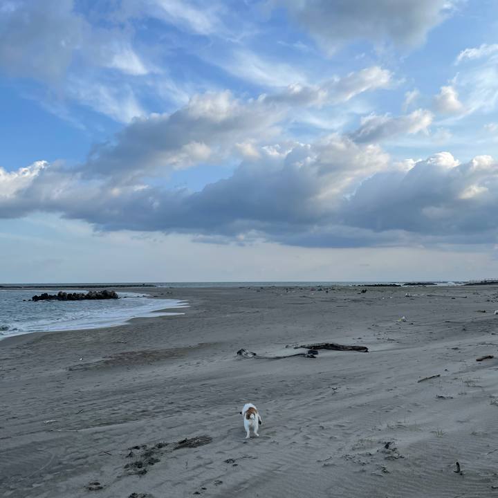 248e50fb fe01 409a 9c8d 882c5bdd4bcf 1616365619775