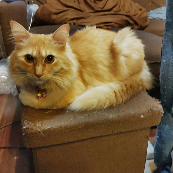 248e9459 7710 43ba aa33 c7dfdc63cd43 1663884505649