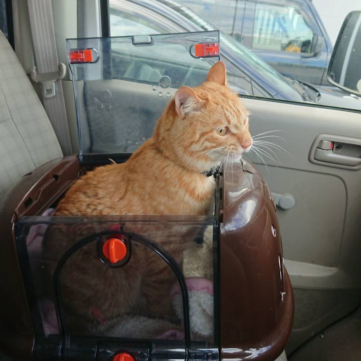 248ea481 9e84 42ae b6fc fc99c471304f 1657328610695