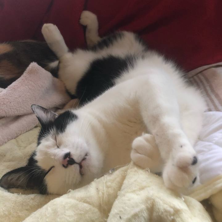 248f02b2 550f 4bb9 b55b 29e78ec3af22 1606259380796