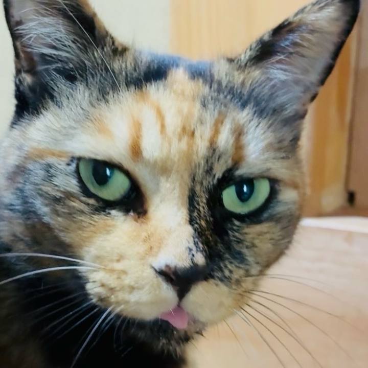 248f0d1c 62e7 4421 aadb 56977524a1b1 1756866071050