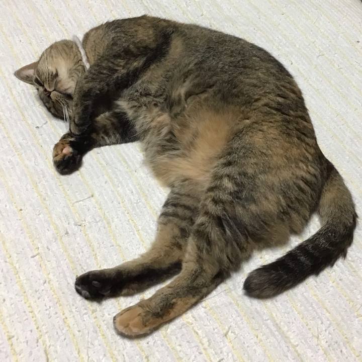 248f0ef8 381a 451f 8aa5 691167828e50 1752240358654