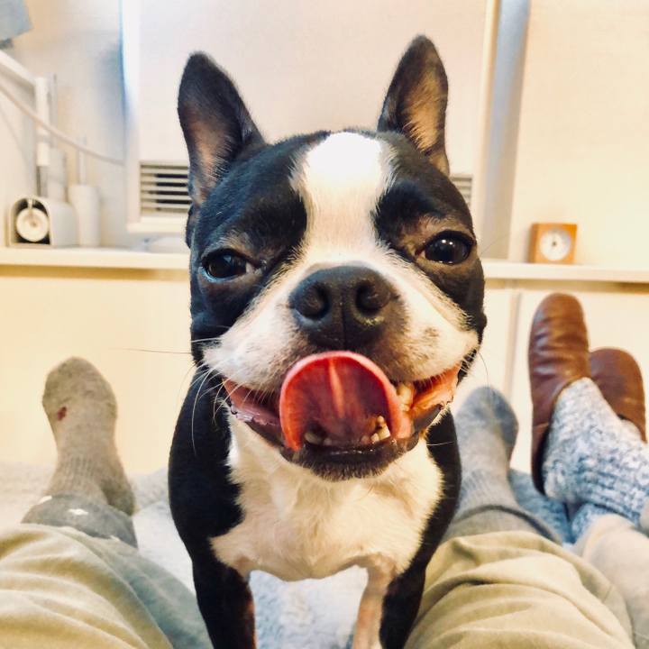 248f0fbe a164 47f0 8d02 364978628445 1511564783292