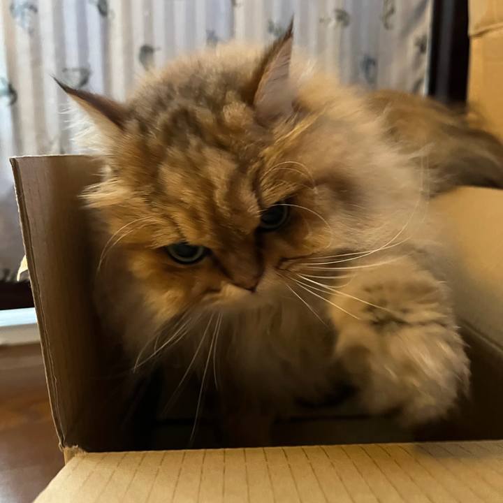 248f3e52 6dd3 4823 911f 8e1907bf1892 1639102187076