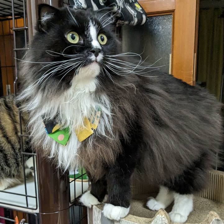 248f5658 6cdd 475f a618 a231c85efd10 1697806962956