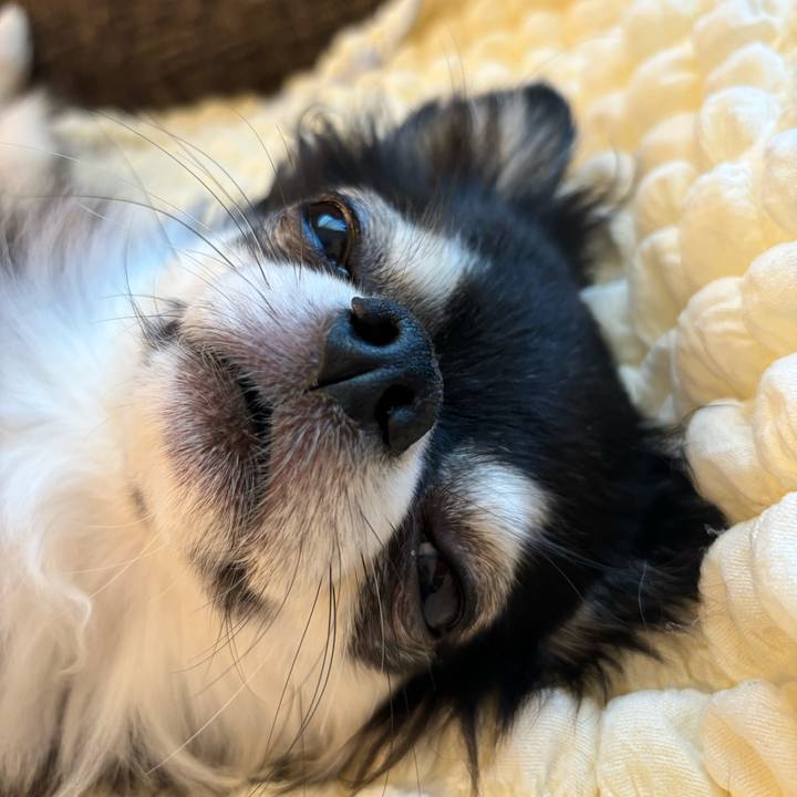 248f945f fcd1 403b acbb 9c0bad4ebf16 1726331421519