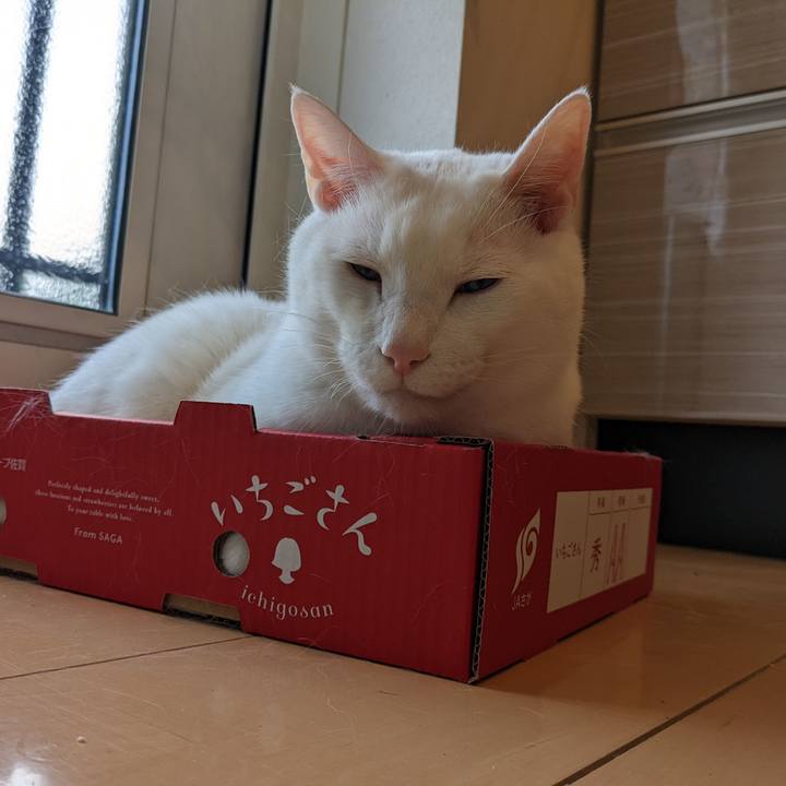 248fa03e bad6 468c a123 9f8010df670d 1651393430062