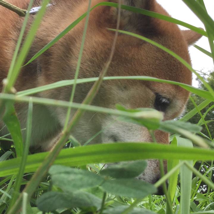 248fb064 83d4 4ac2 837f 36e53b722d40 1562644543163