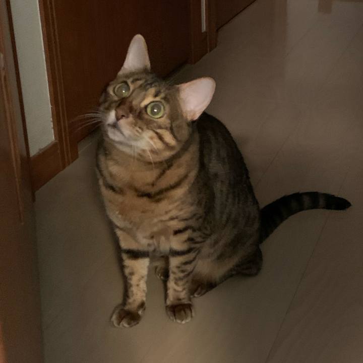 248fe2b9 1125 4226 9cca 17f45488431f 1624147980245