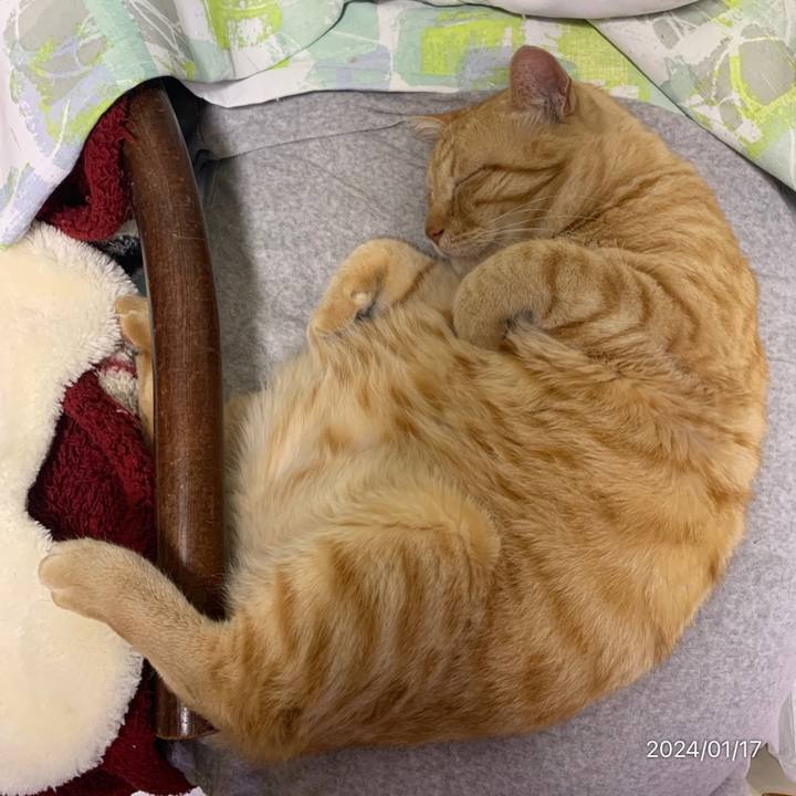 248fe61c bd98 4a6d b5c7 15415b98973e 1705501566975