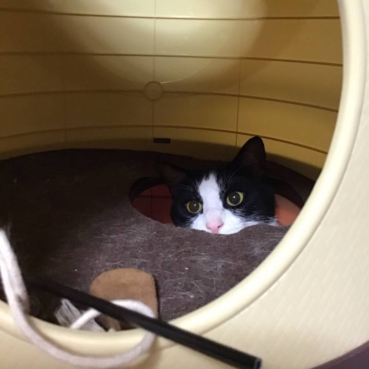 248ffa32 e407 46fa b455 6b92a6720d9c 1686834492243