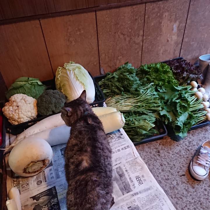 248fff83 e97e 4dd5 b6ea e238ccb04c15 1572766990933