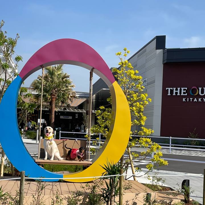 24901734 a016 4170 baf5 9280fe2a53c8 1651046683074