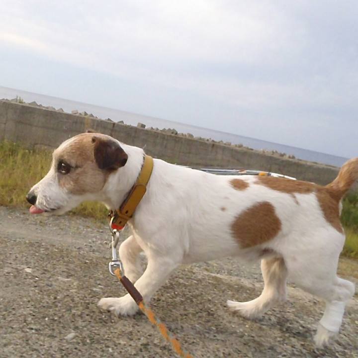 24903991 f93d 4a2c 8780 c586d21c7318 1508842290633