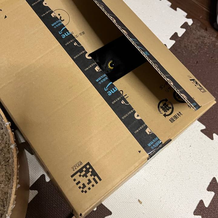 24904101 d605 432b 89cc 8dcdc97e0a6c 1753879165849