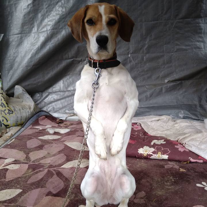 249043b4 7901 4ae1 b6a2 8f1369d18414 1640089756158