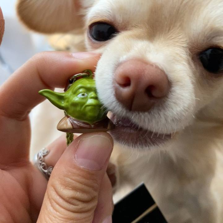 24904f79 ce7d 4af2 ba62 bcd216ed2a01 1618109090533