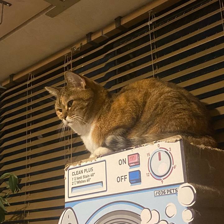 2490625c 974b 4af4 aa2b 8fbbc31d0a91 1729981274362