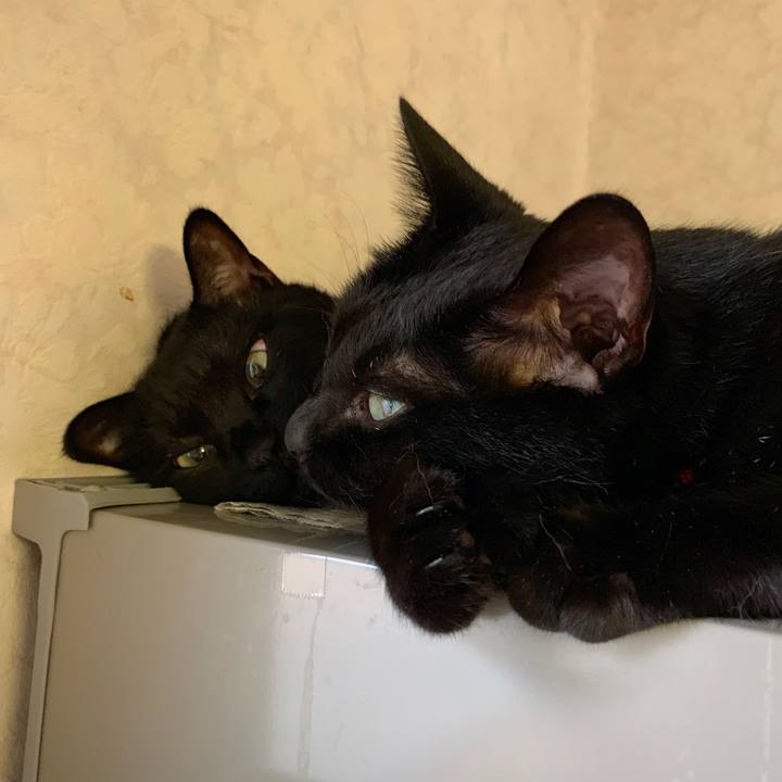 24909f64 bd17 4fd1 abbe 50a191e22396 1563584935033