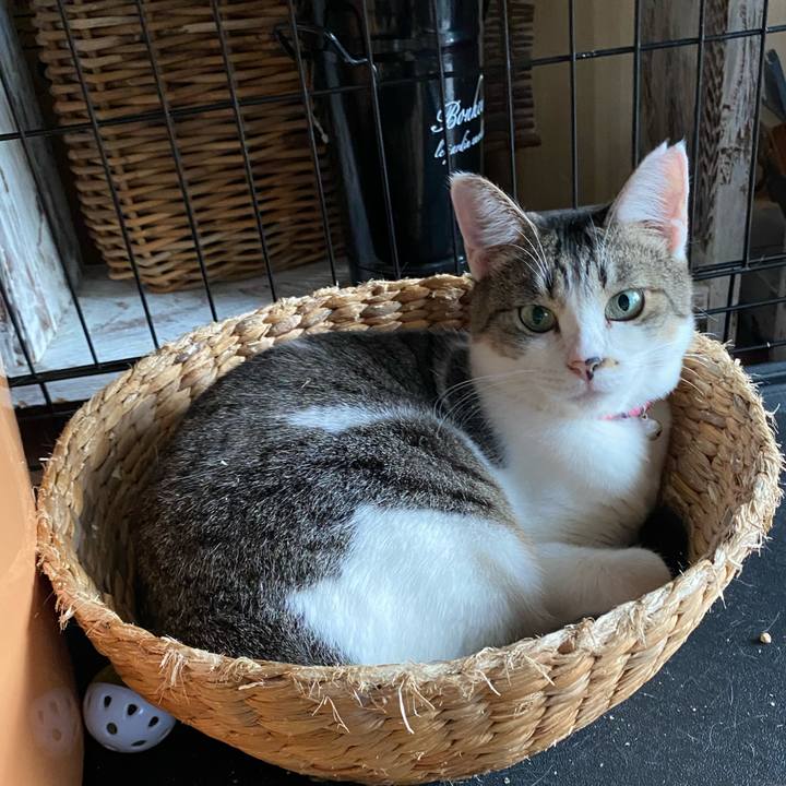 2490c586 06a8 4066 a2cd 771f44ca3146 1727221930743