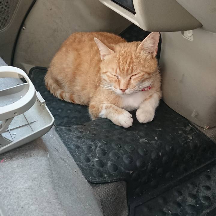 2490eed9 d504 4ce0 9d9d 605e4e007d7a 1559373189394