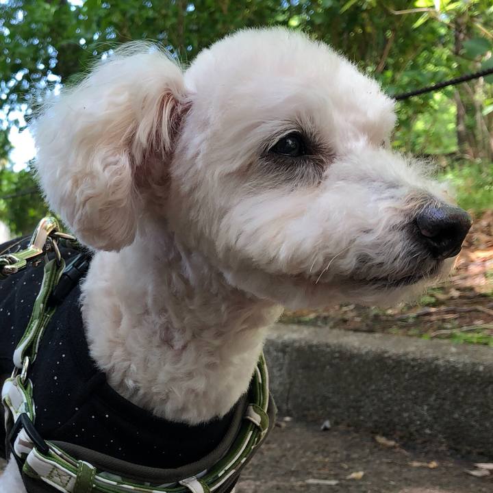 2490fc22 1a43 44ce 8635 f97423e6b4ea 1524785199174