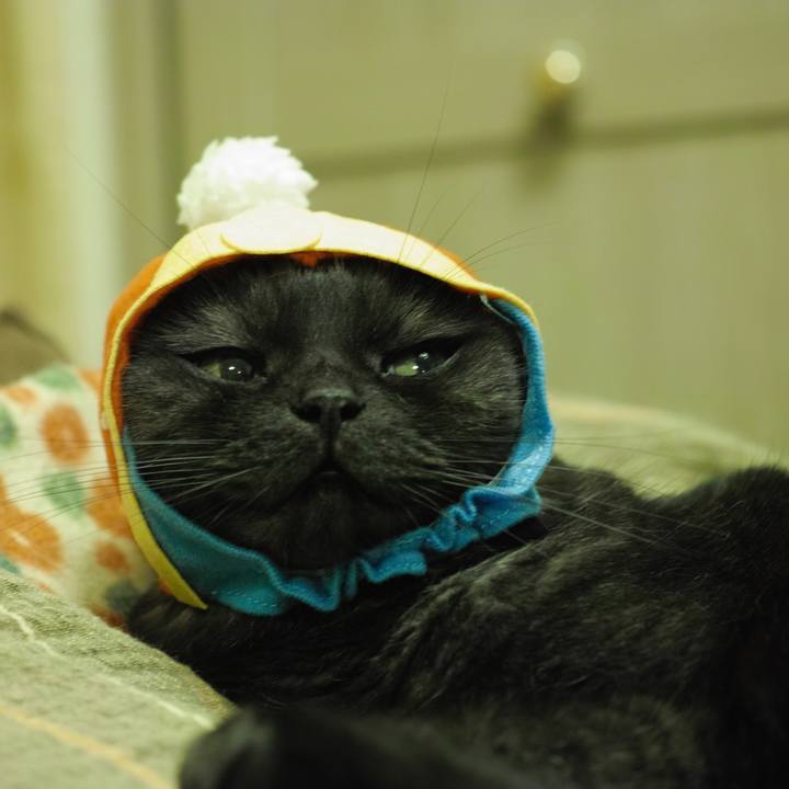 24910bc0 10dd 4bd2 9ae5 d3ba4df42789 1537018935046