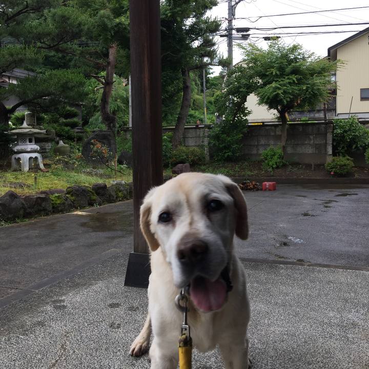 249183e8 6366 4ffd 9e16 443bf84911a2 1528773651332