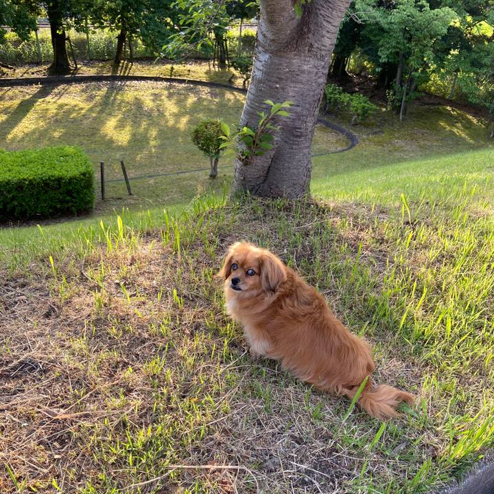 2491d32b 07a5 40be a415 37975f21b72f 1622669315176