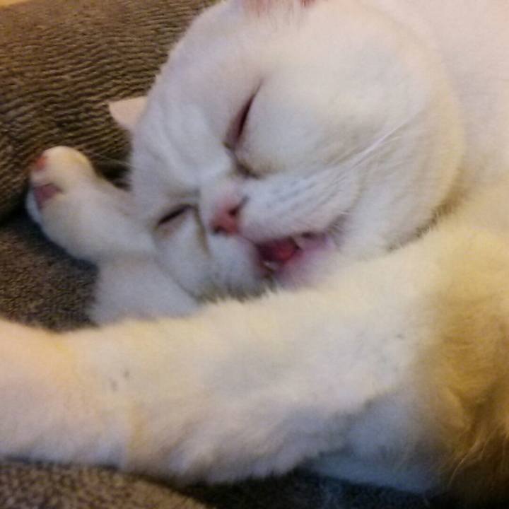 2491d81b 33a9 4c72 91a2 375458fbf041 1519458540579