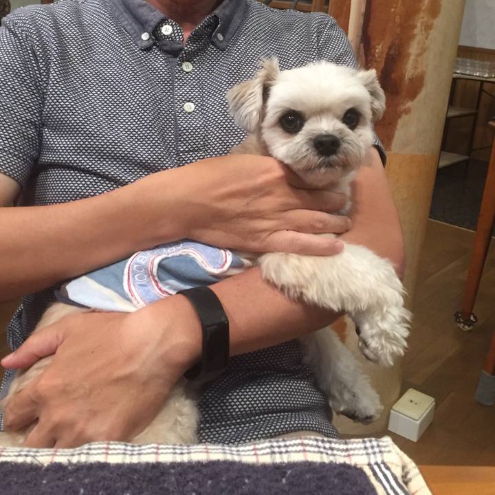 24921e15 b119 426f aa01 70e17fa79103 1560596408756