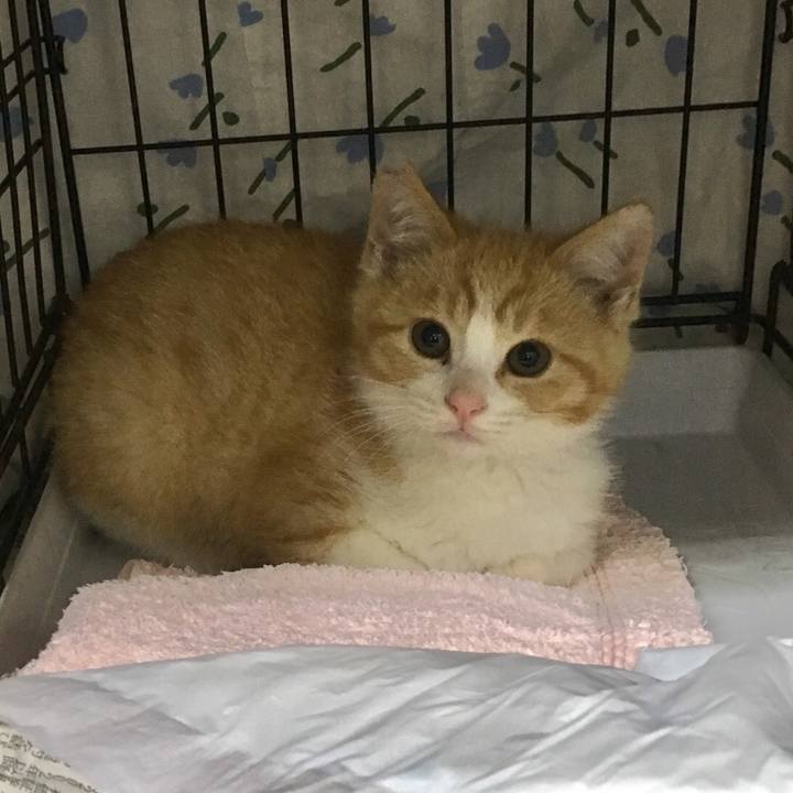 24921f99 c63c 431d a7ba bbd04272dd5e 1543223156381